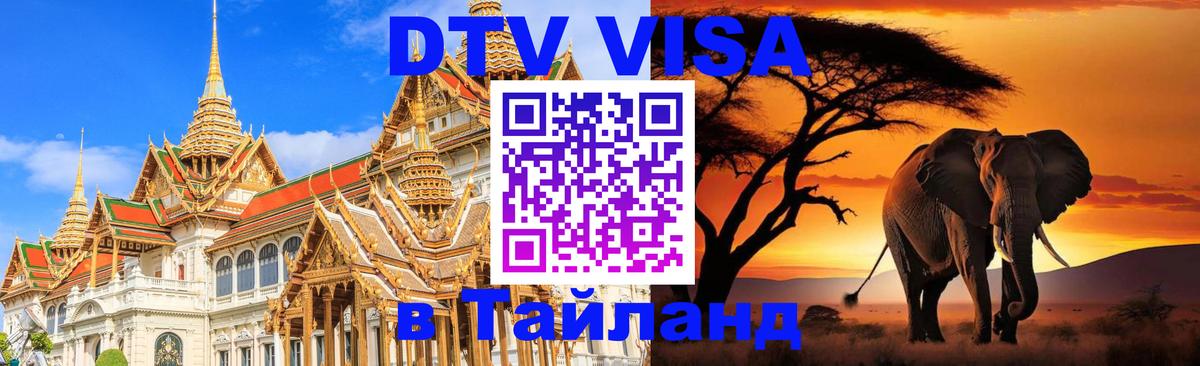 Оформление DTV визы под ключ: стоимость и тарифы, только загранпаспорт - Бийск 